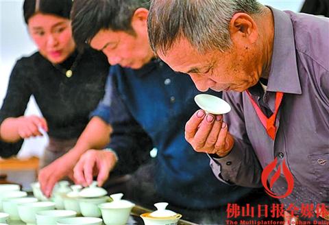 两岸斗茶巅峰对决 所呈茶样超1000个_佛山在线